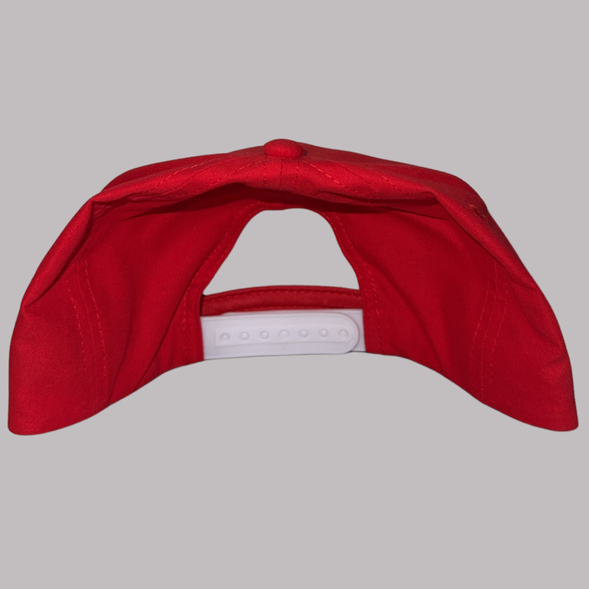 STAGS - Snapback Embroidered Hat